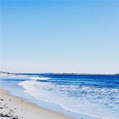 足球赌注软件下载手机版截图