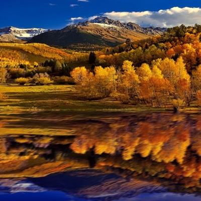 ag真人国际官网手机app下载