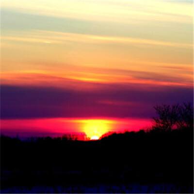 leyu·乐鱼体育手机app下载